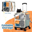 https://img.oz-toponline.com/ebaypage/products_pictures/ebaytoken/17/378/378620_3414537_F.jpg