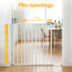 https://img.oz-toponline.com/ebaypage/products_pictures/ebaytoken/17/385/385860_3495528_F.jpg